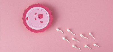 pro-tüp-bebek-infertilite-kısırlık-1